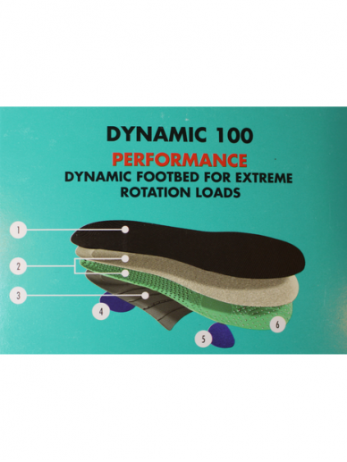 Dynamic 100 1